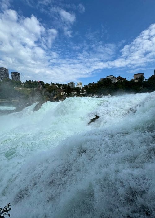 Plattform am Rheinfall